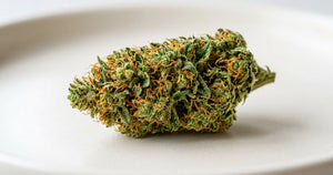 AK-47 CBD Flower: Strain Spotlight