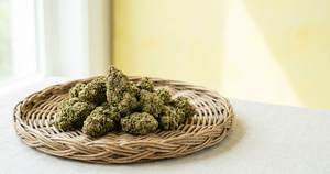Amnesia Haze CBD Flower: Strain Spotlight