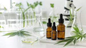 The UK's First Legal CBD Food Products Are Nearly Here: The FSA Decision Explained