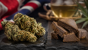 CBD Hash vs CBD Flower: What's the Difference and Which Should You Buy?