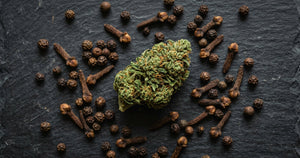 Caryophyllene: The Peppery Terpene in CBD Flower Explained