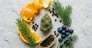What Does CBD Flower Smell and Taste Like?