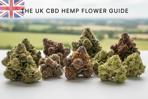 CBD Flower Strains UK: The Complete Guide to Easy Green CBD’s Hemp Flower Range