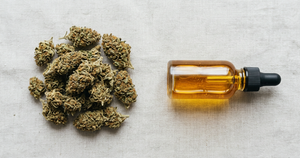 CBD Flower vs CBD Oil: What's the Difference?