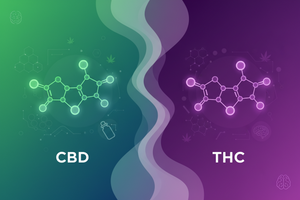 CBD vs THC: What's the Difference?