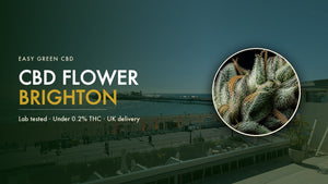 CBD Flower Brighton: Where to Buy Legal CBD Flower and Hash (2026)