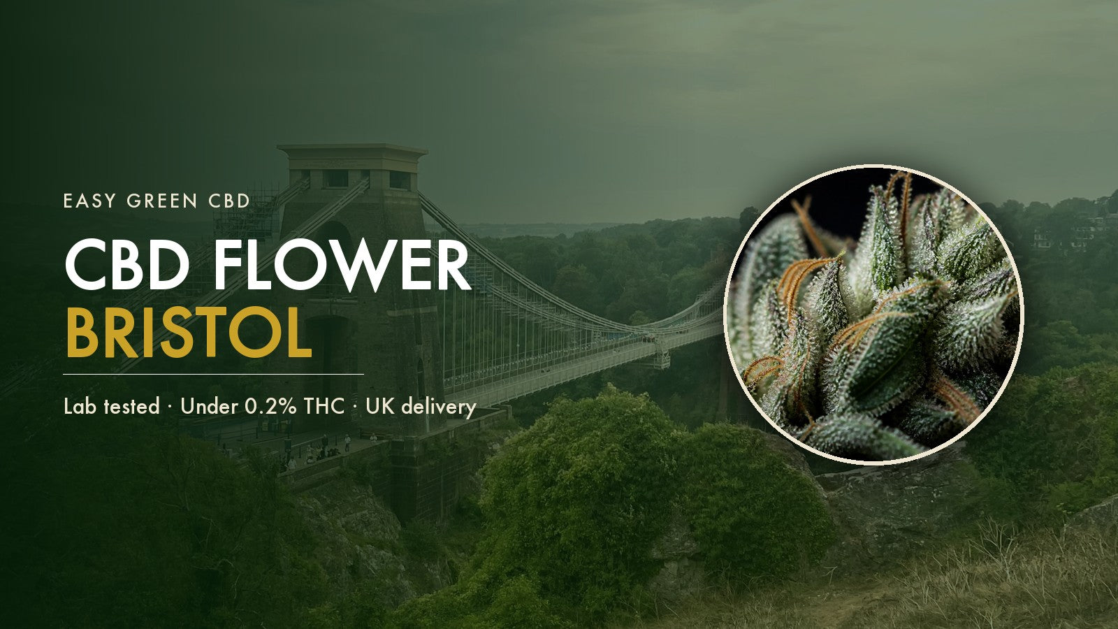 CBD Flower Bristol: Where to Buy Legal CBD Flower in the City (2026)