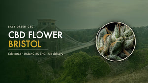 CBD Flower Bristol: Where to Buy Legal CBD Flower in the City (2026)