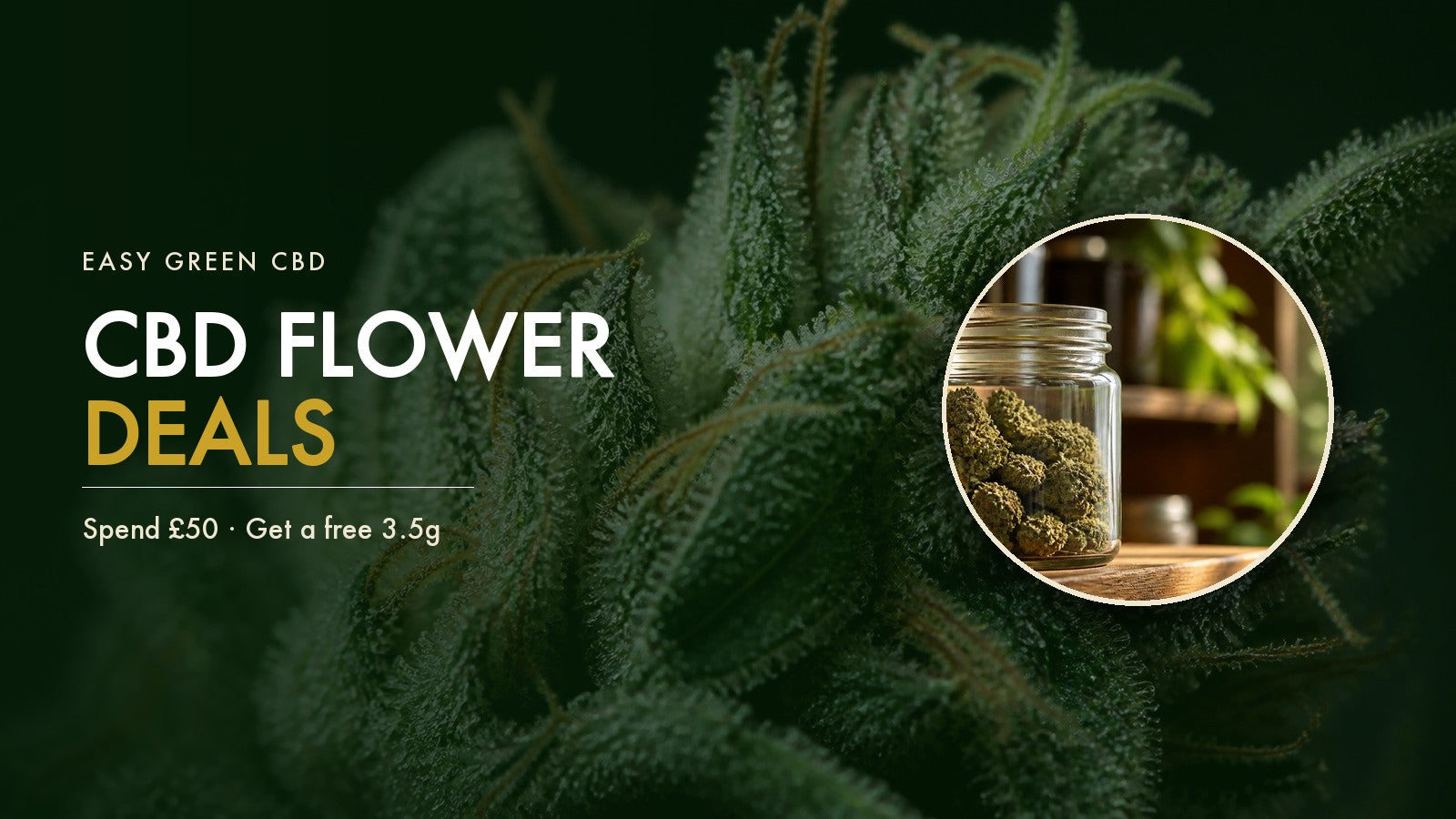 CBD Flower Deals UK: How to Get the Best Value on CBD Flower Online (2026)