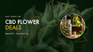 CBD Flower Deals UK: How to Get the Best Value on CBD Flower Online (2026)