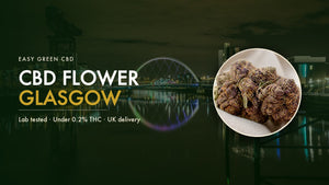CBD Flower Glasgow: Buying Legal CBD Flower and Oil in Scotland (2026)