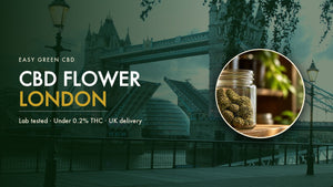 CBD Flower London: Where to Buy Legal CBD Flower in the Capital (2026)