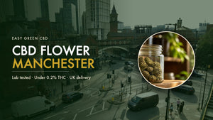 CBD Flower Manchester: Where to Buy CBD Flower and Hash in the City (2026)
