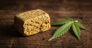 Hemp Hash UK: What It Is, How It's Made and How to Buy It