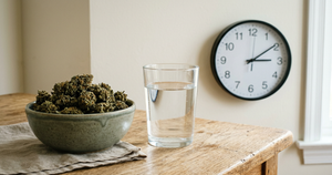 How Long Does CBD Stay in Your System?
