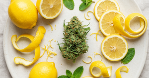 Limonene: The Citrus Terpene in CBD Flower Explained