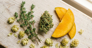 Myrcene: The Earthy Terpene in CBD Flower Explained