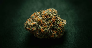 OG Kush CBD Flower: Strain Spotlight