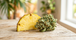 Pineapple Express CBD Flower: Strain Spotlight