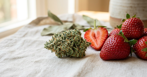 Strawberry Kush CBD Flower: Strain Spotlight