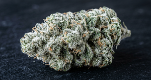 White Widow CBD Flower: Strain Spotlight