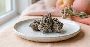 Zkittlez CBD Flower: Strain Spotlight