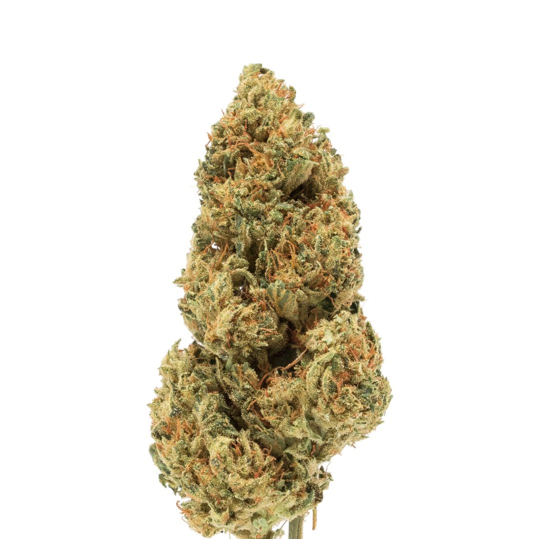 Girl Scout Cookies (GSC) – CBD Flower