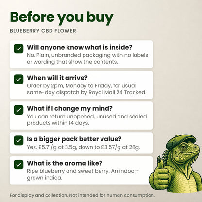 Before you buy Blueberry: discreet packaging, dispatch times, 14-day returns, price per gram and aroma