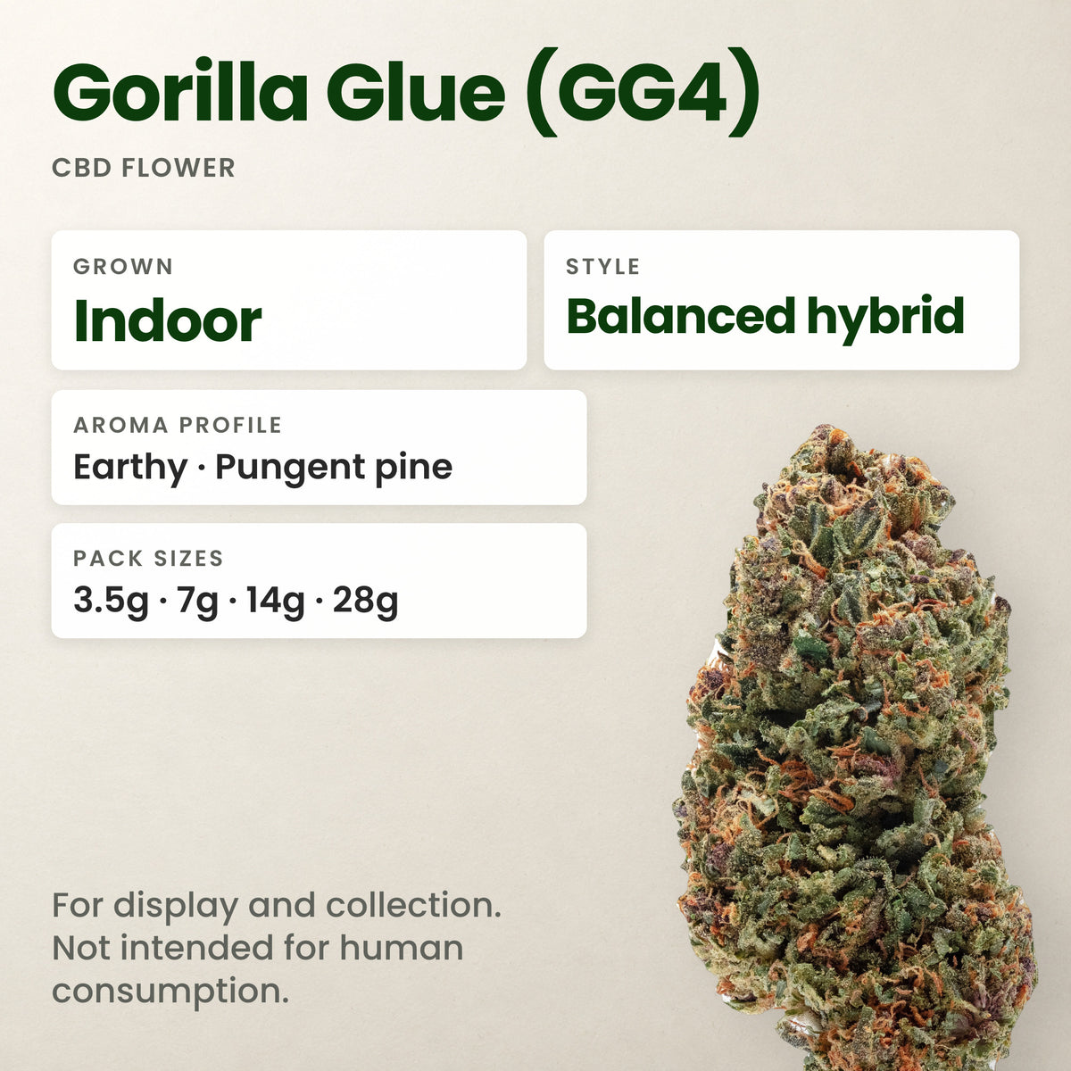 Gorilla Glue (GG4) CBD flower key facts: style, aroma and pack sizes