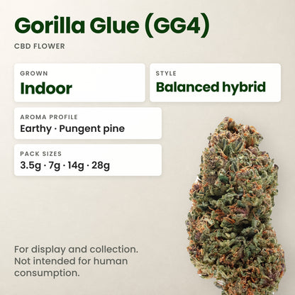 Gorilla Glue (GG4) CBD flower key facts: style, aroma and pack sizes