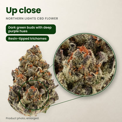 Northern Lights CBD flower up close: dark green buds with deep purple hues and resin-tipped trichomes