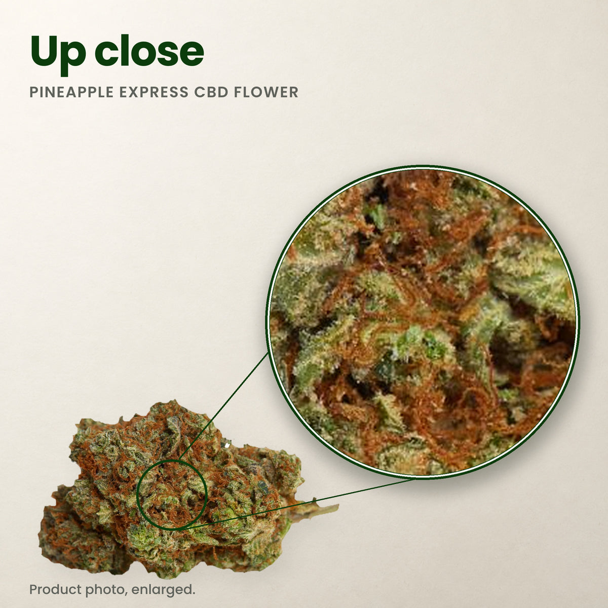 Pineapple Express CBD flower up close