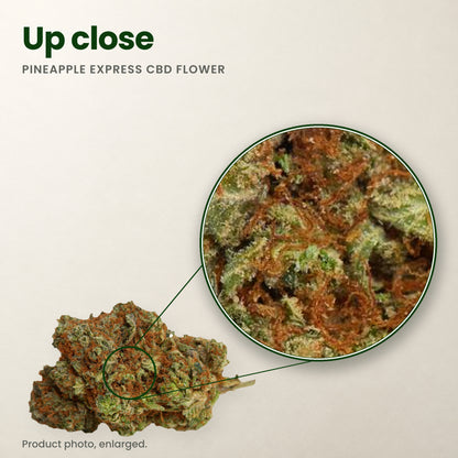 Pineapple Express CBD flower up close