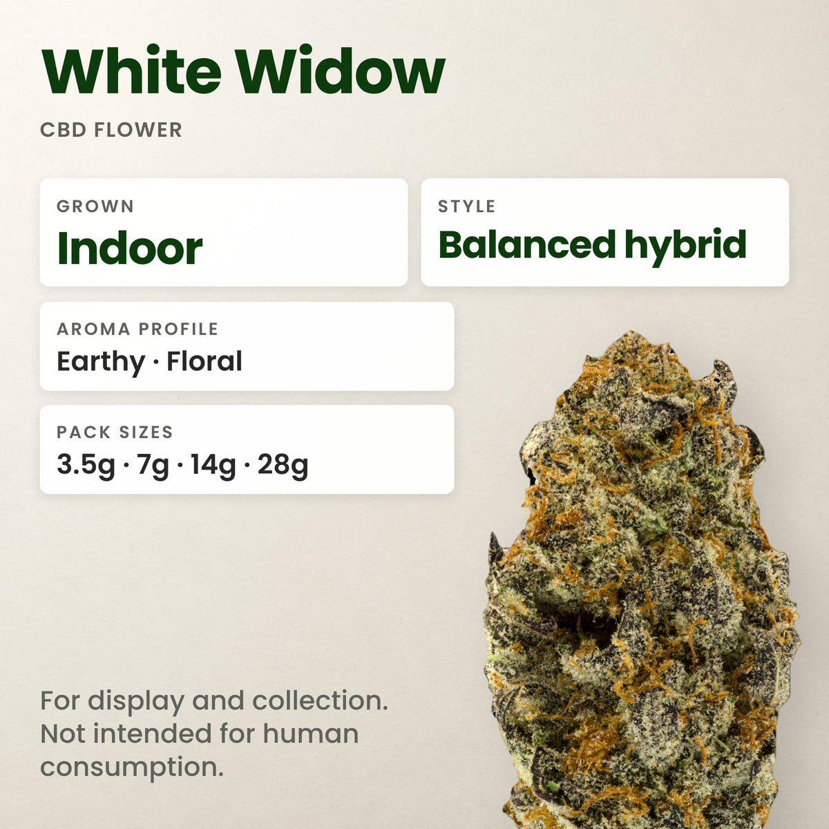 White Widow CBD flower key facts: style, aroma and pack sizes