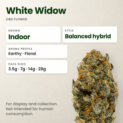 White Widow CBD flower key facts: style, aroma and pack sizes