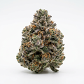 Sherblato CBD Flower